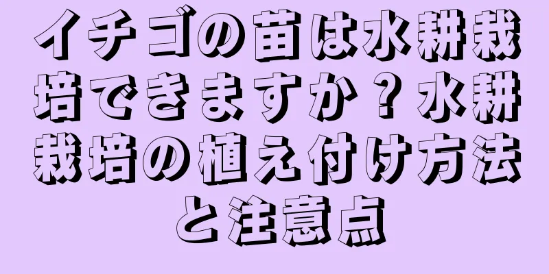 イチゴの苗は水耕栽培できますか？水耕栽培の植え付け方法と注意点