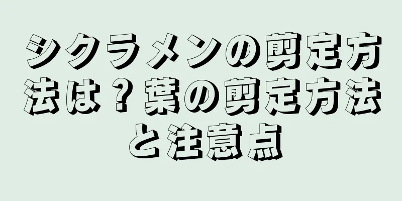 シクラメンの剪定方法は？葉の剪定方法と注意点