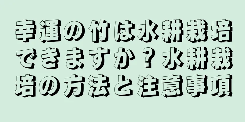 幸運の竹は水耕栽培できますか？水耕栽培の方法と注意事項
