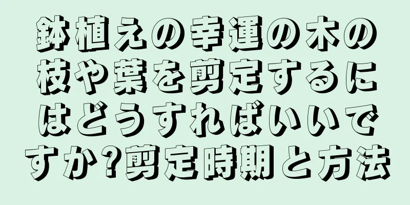 鉢植えの幸運の木の枝や葉を剪定するにはどうすればいいですか?剪定時期と方法