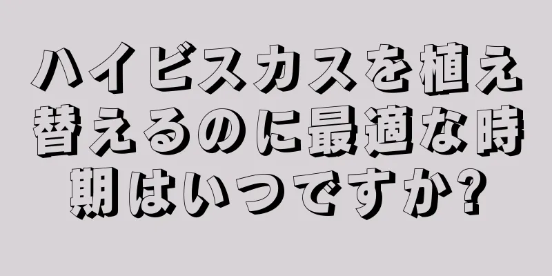 ハイビスカスを植え替えるのに最適な時期はいつですか?