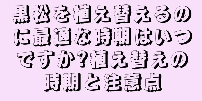黒松を植え替えるのに最適な時期はいつですか?植え替えの時期と注意点