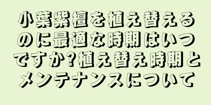 小葉紫檀を植え替えるのに最適な時期はいつですか?植え替え時期とメンテナンスについて