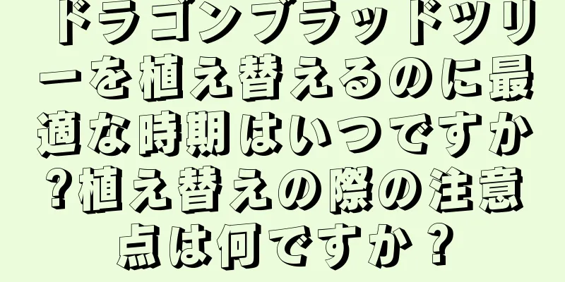 ドラゴンブラッドツリーを植え替えるのに最適な時期はいつですか?植え替えの際の注意点は何ですか？
