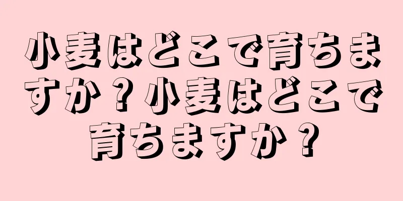 小麦はどこで育ちますか？小麦はどこで育ちますか？