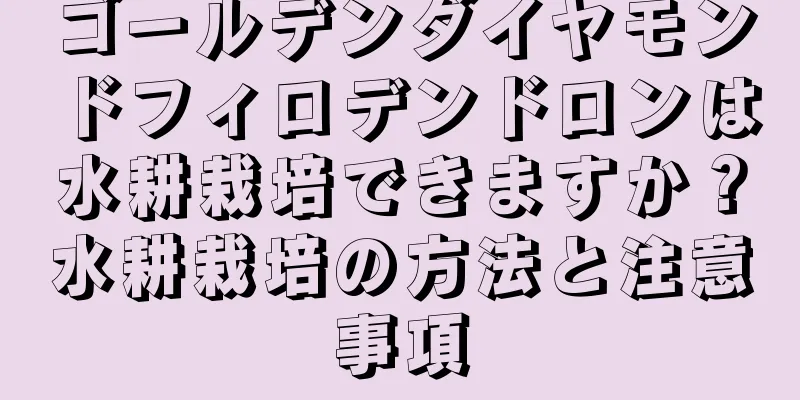 ゴールデンダイヤモンドフィロデンドロンは水耕栽培できますか？水耕栽培の方法と注意事項