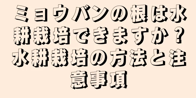 ミョウバンの根は水耕栽培できますか？水耕栽培の方法と注意事項
