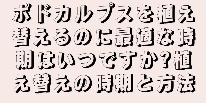 ポドカルプスを植え替えるのに最適な時期はいつですか?植え替えの時期と方法