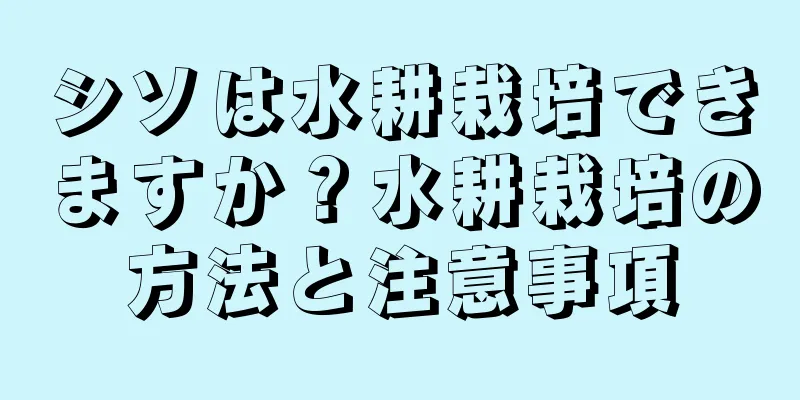 シソは水耕栽培できますか？水耕栽培の方法と注意事項
