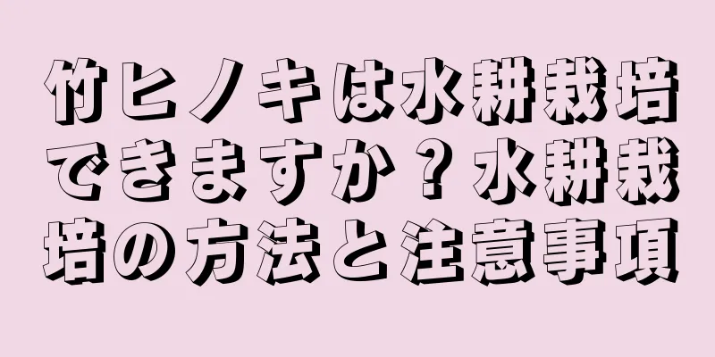 竹ヒノキは水耕栽培できますか？水耕栽培の方法と注意事項