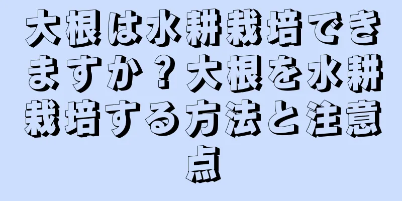 大根は水耕栽培できますか？大根を水耕栽培する方法と注意点