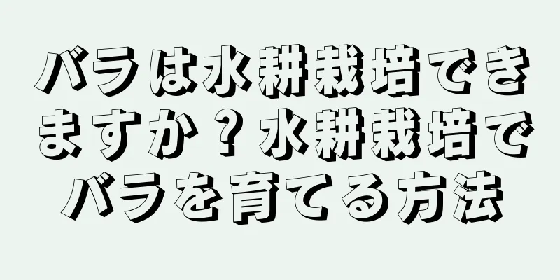 バラは水耕栽培できますか？水耕栽培でバラを育てる方法