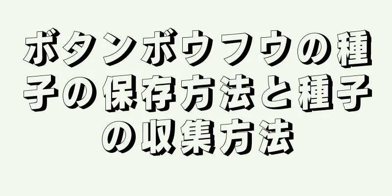 ボタンボウフウの種子の保存方法と種子の収集方法