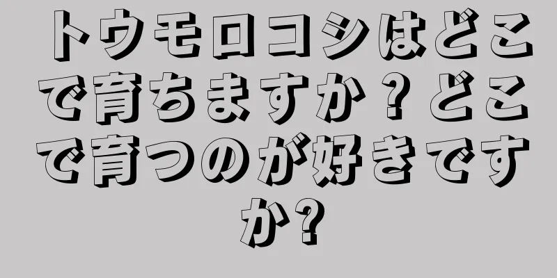トウモロコシはどこで育ちますか？どこで育つのが好きですか?