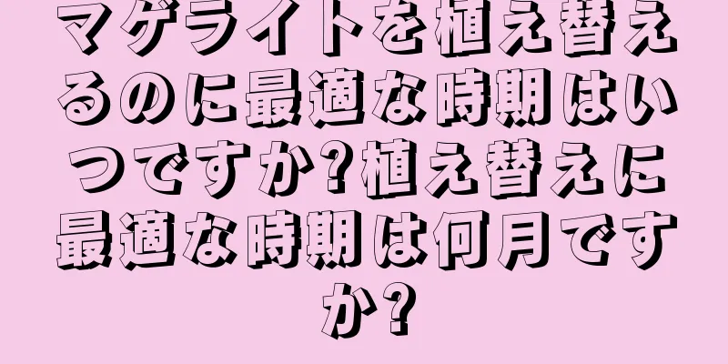 マゲライトを植え替えるのに最適な時期はいつですか?植え替えに最適な時期は何月ですか?