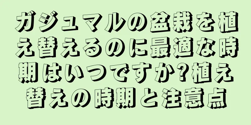 ガジュマルの盆栽を植え替えるのに最適な時期はいつですか?植え替えの時期と注意点