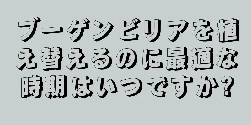 ブーゲンビリアを植え替えるのに最適な時期はいつですか?