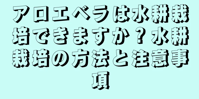 アロエベラは水耕栽培できますか？水耕栽培の方法と注意事項