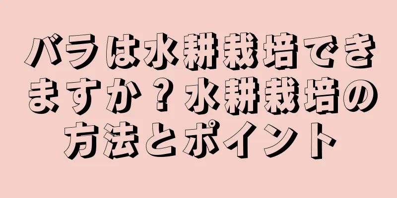 バラは水耕栽培できますか？水耕栽培の方法とポイント