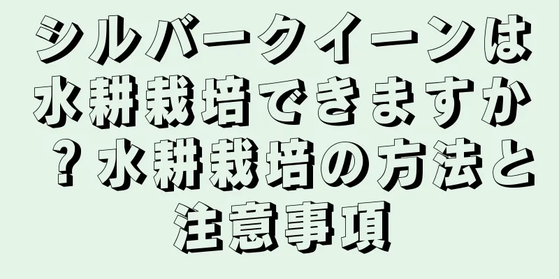 シルバークイーンは水耕栽培できますか？水耕栽培の方法と注意事項