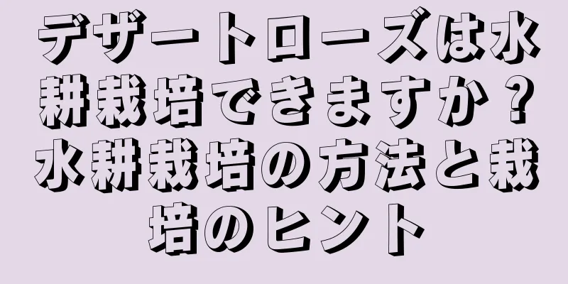 デザートローズは水耕栽培できますか？水耕栽培の方法と栽培のヒント