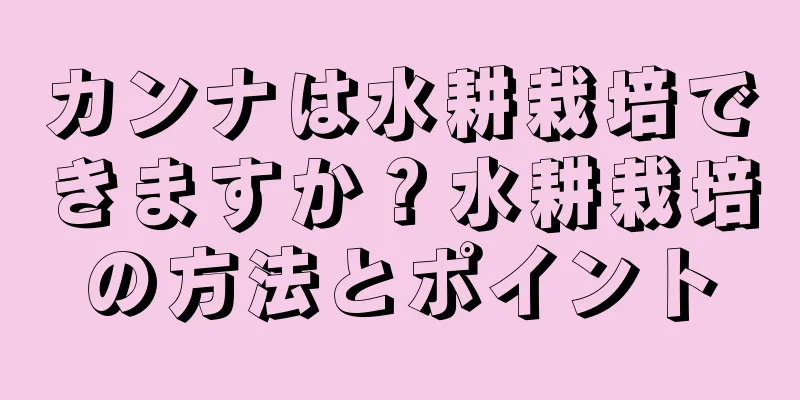 カンナは水耕栽培できますか？水耕栽培の方法とポイント