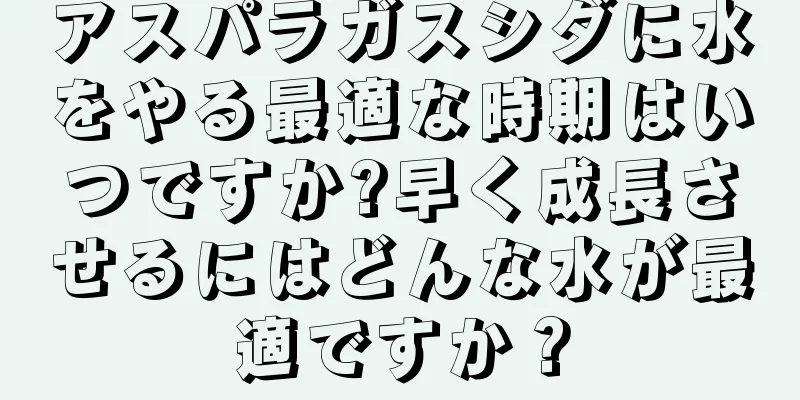アスパラガスシダに水をやる最適な時期はいつですか?早く成長させるにはどんな水が最適ですか？