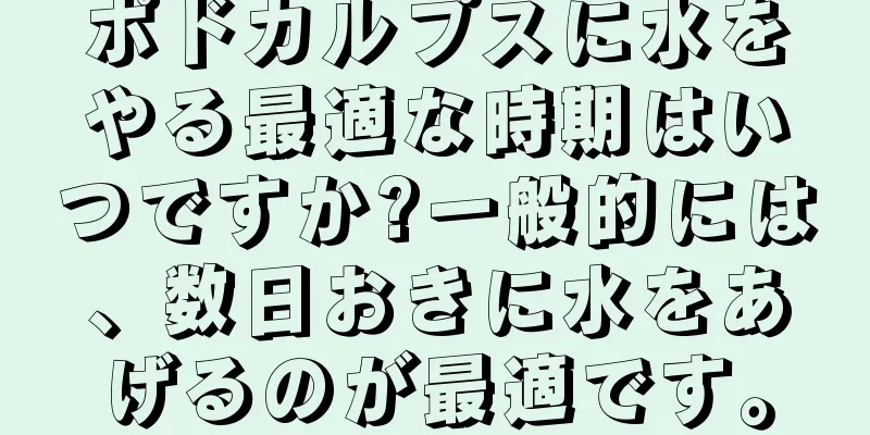 ポドカルプスに水をやる最適な時期はいつですか?一般的には、数日おきに水をあげるのが最適です。