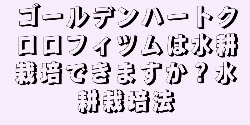 ゴールデンハートクロロフィツムは水耕栽培できますか？水耕栽培法