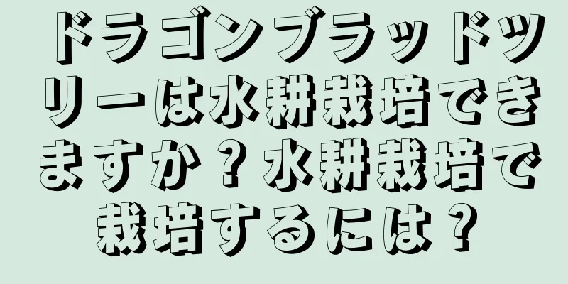 ドラゴンブラッドツリーは水耕栽培できますか？水耕栽培で栽培するには？