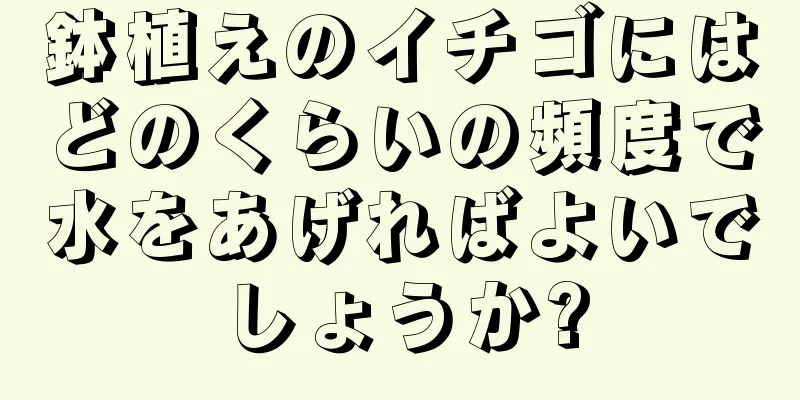 鉢植えのイチゴにはどのくらいの頻度で水をあげればよいでしょうか?
