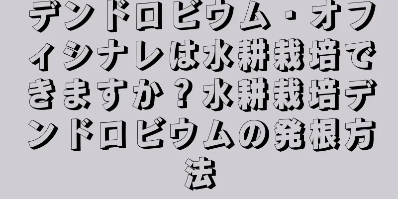 デンドロビウム・オフィシナレは水耕栽培できますか？水耕栽培デンドロビウムの発根方法