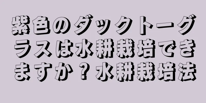 紫色のダックトーグラスは水耕栽培できますか？水耕栽培法