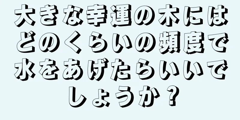 大きな幸運の木にはどのくらいの頻度で水をあげたらいいでしょうか？