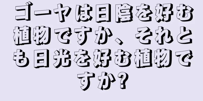 ゴーヤは日陰を好む植物ですか、それとも日光を好む植物ですか?