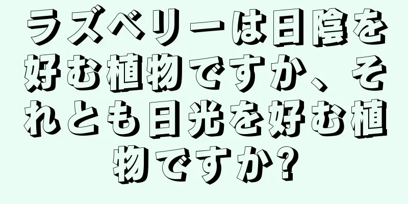 ラズベリーは日陰を好む植物ですか、それとも日光を好む植物ですか?