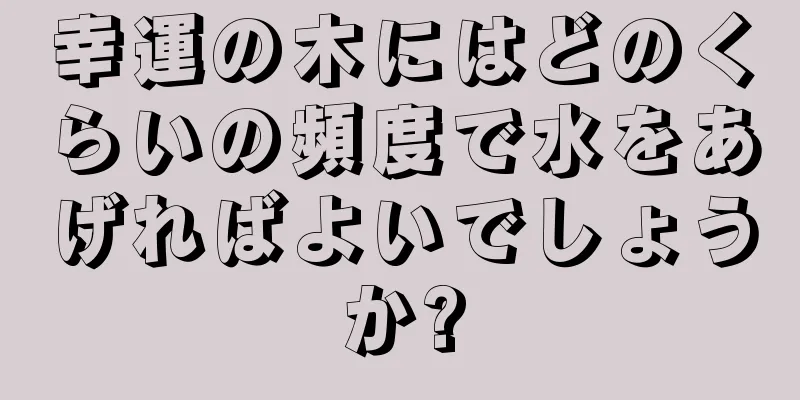 幸運の木にはどのくらいの頻度で水をあげればよいでしょうか?
