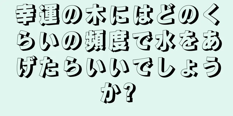幸運の木にはどのくらいの頻度で水をあげたらいいでしょうか?