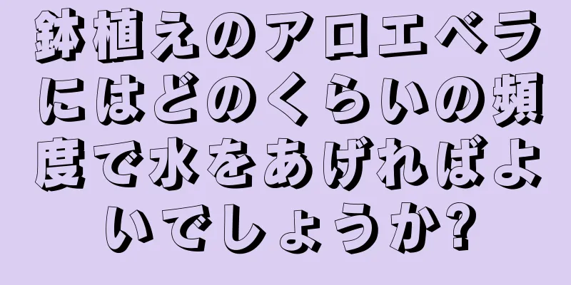 鉢植えのアロエベラにはどのくらいの頻度で水をあげればよいでしょうか?
