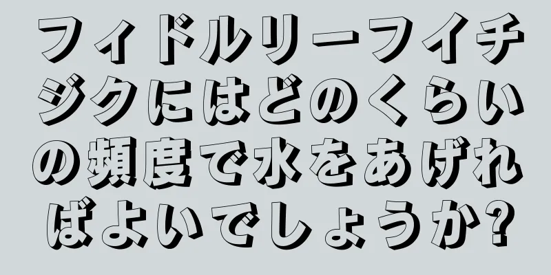 フィドルリーフイチジクにはどのくらいの頻度で水をあげればよいでしょうか?