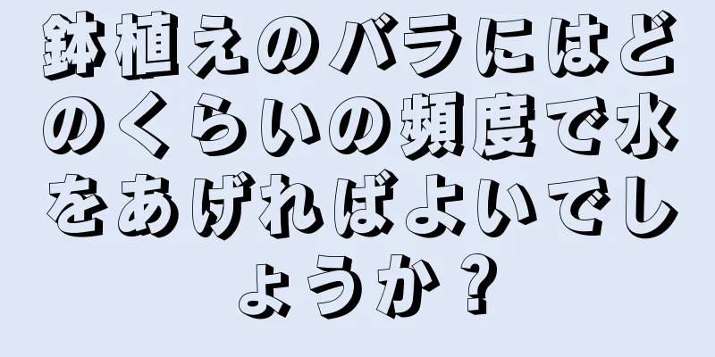 鉢植えのバラにはどのくらいの頻度で水をあげればよいでしょうか？