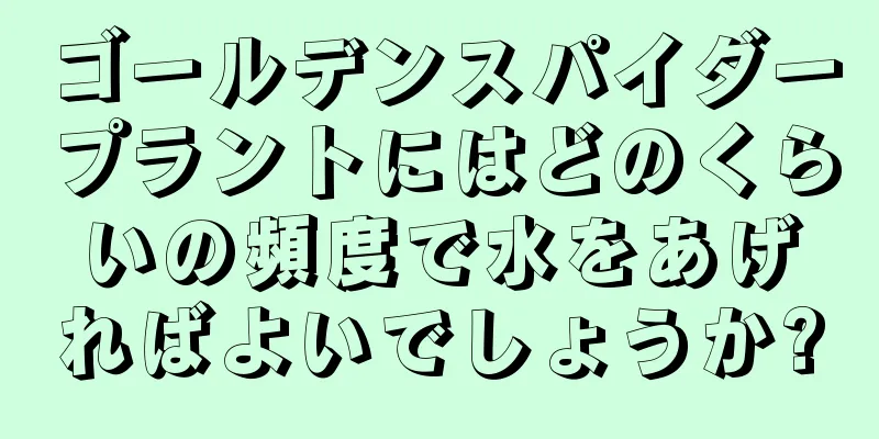 ゴールデンスパイダープラントにはどのくらいの頻度で水をあげればよいでしょうか?