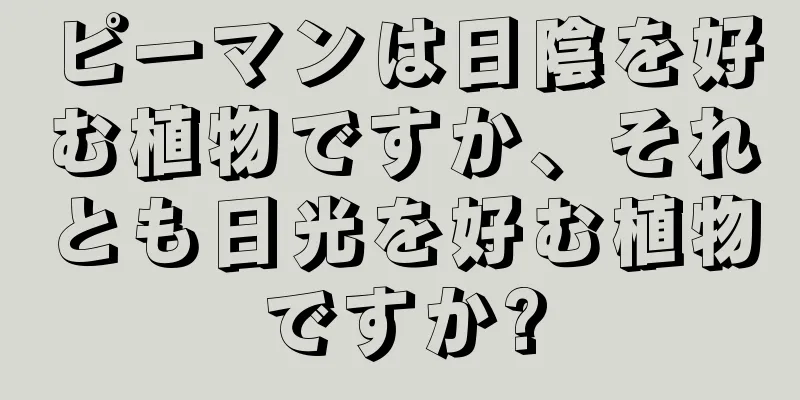 ピーマンは日陰を好む植物ですか、それとも日光を好む植物ですか?