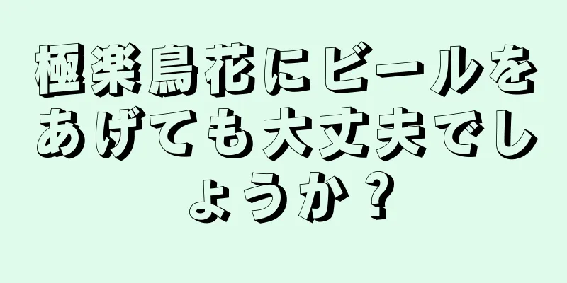 極楽鳥花にビールをあげても大丈夫でしょうか？