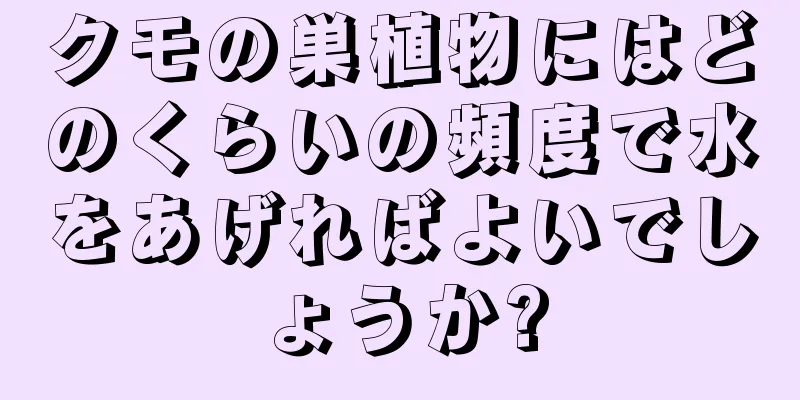 クモの巣植物にはどのくらいの頻度で水をあげればよいでしょうか?