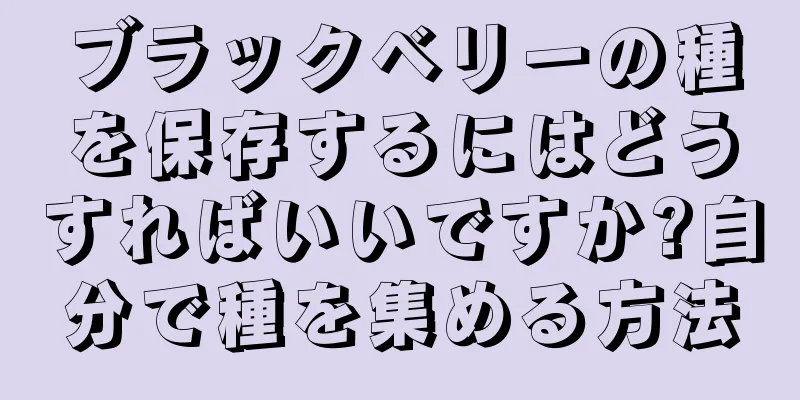 ブラックベリーの種を保存するにはどうすればいいですか?自分で種を集める方法