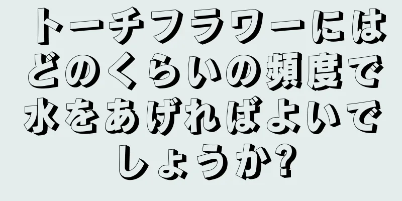 トーチフラワーにはどのくらいの頻度で水をあげればよいでしょうか?