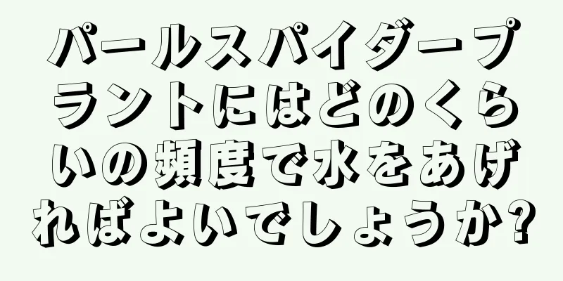 パールスパイダープラントにはどのくらいの頻度で水をあげればよいでしょうか?