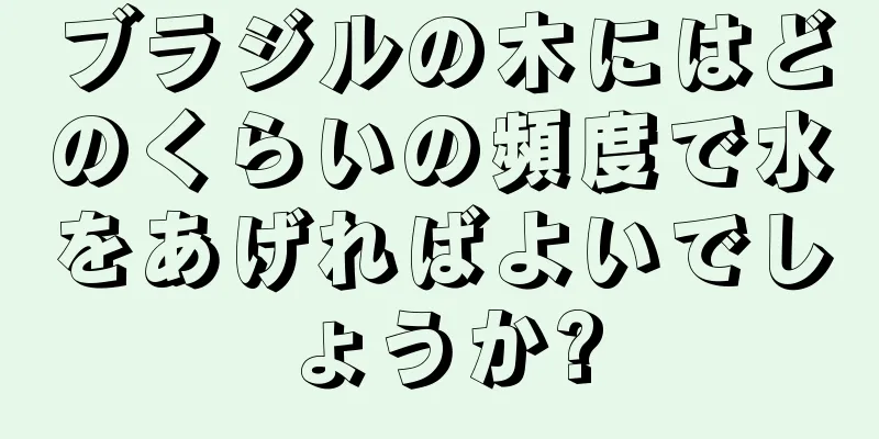 ブラジルの木にはどのくらいの頻度で水をあげればよいでしょうか?