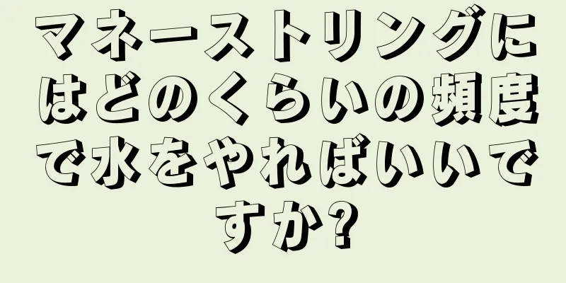 マネーストリングにはどのくらいの頻度で水をやればいいですか?